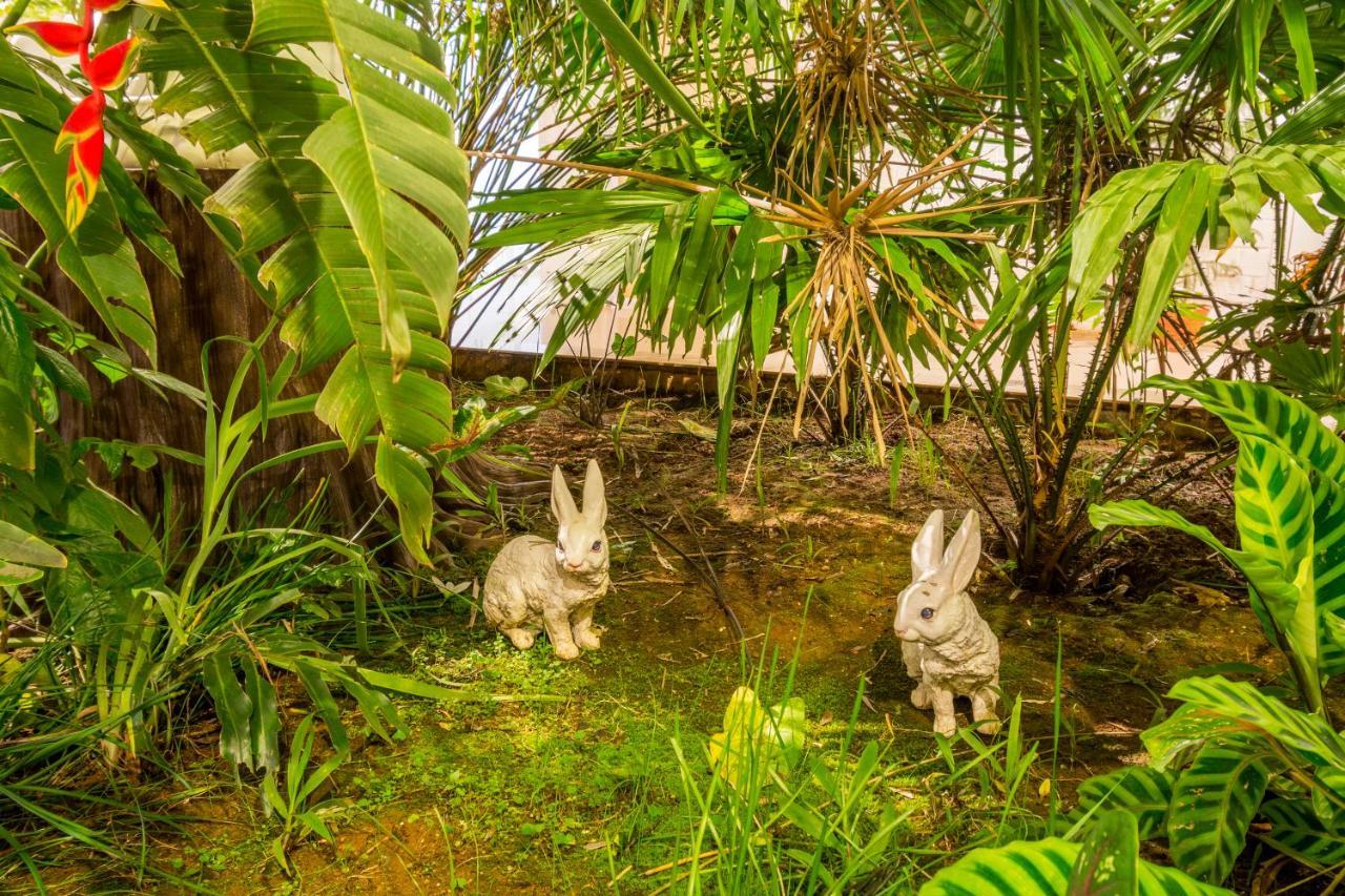 Casa Holiday Resorts アラク エクステリア 写真